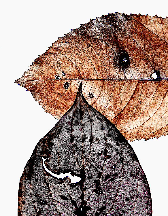 Ex 1 Pfalz Puppe 09 IMG_4275 Kopie.jpg